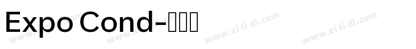 Expo Cond字体转换